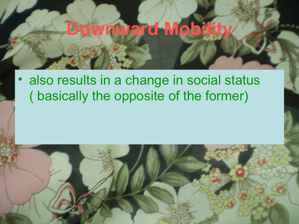 Types Of Social Mobility