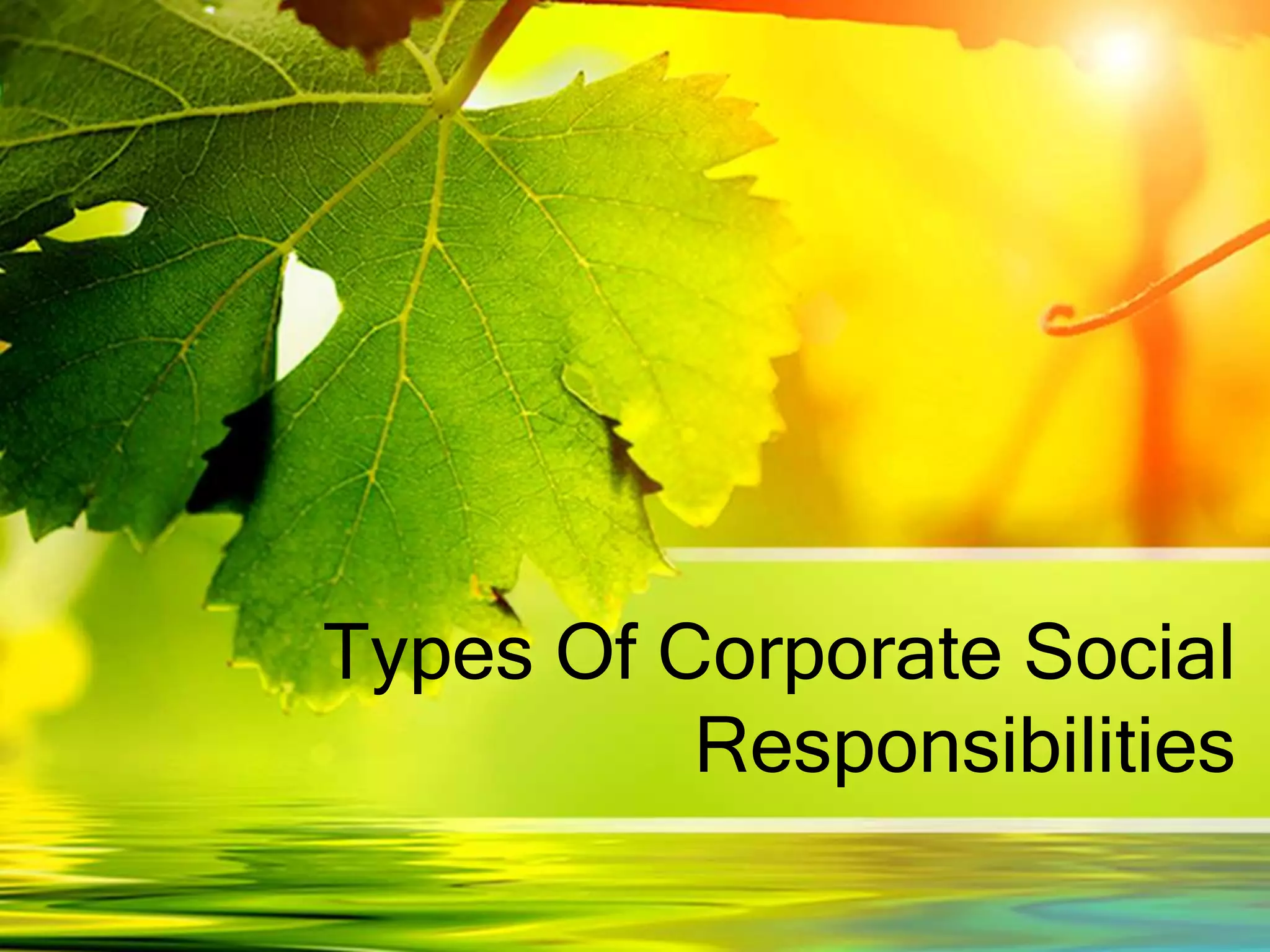 Types Of Corporate Social
Responsibilities