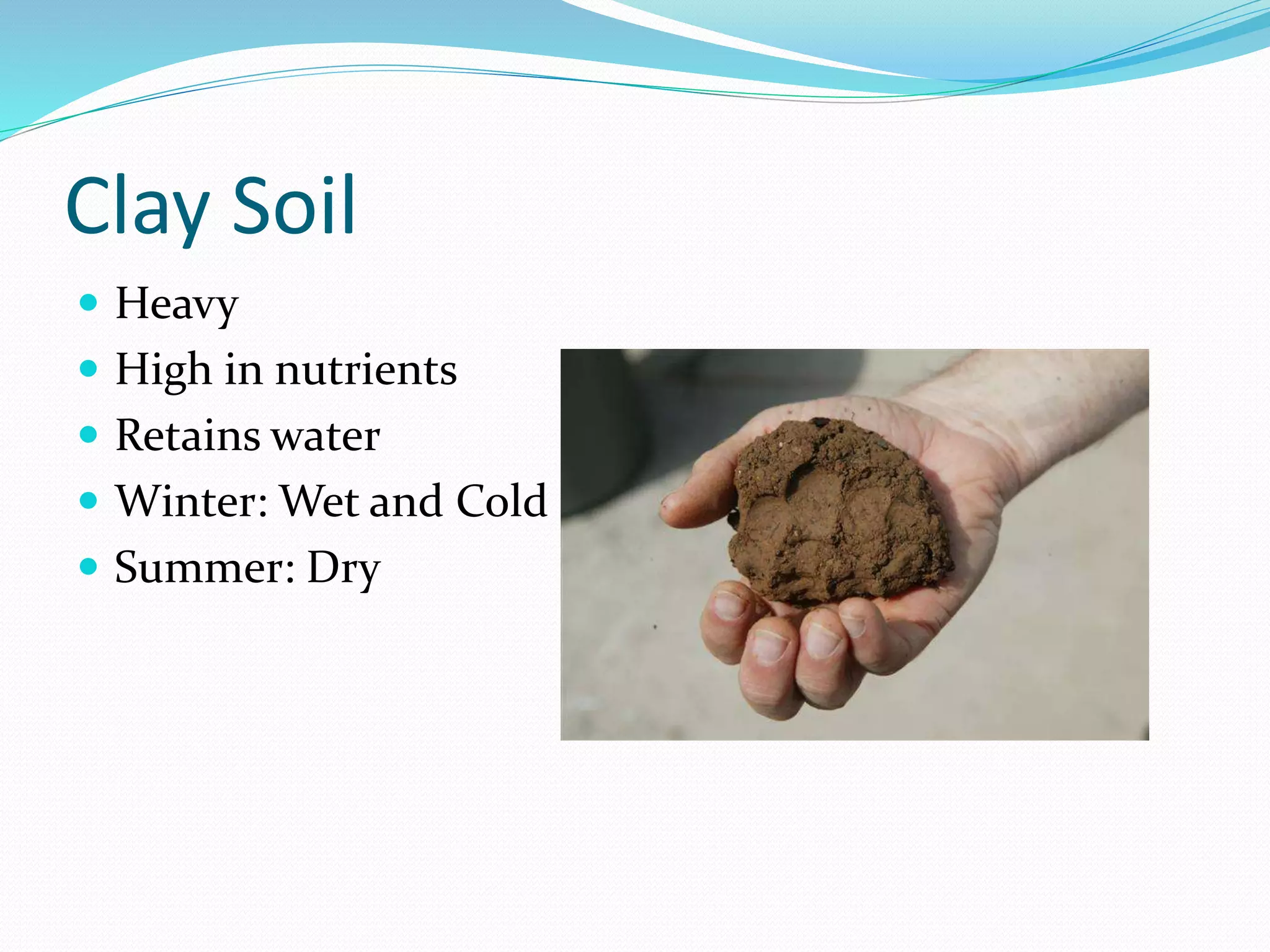 Clay Soil
Heavy
High in nutrients
Retains water
Winter: Wet and Cold
Summer: Dry