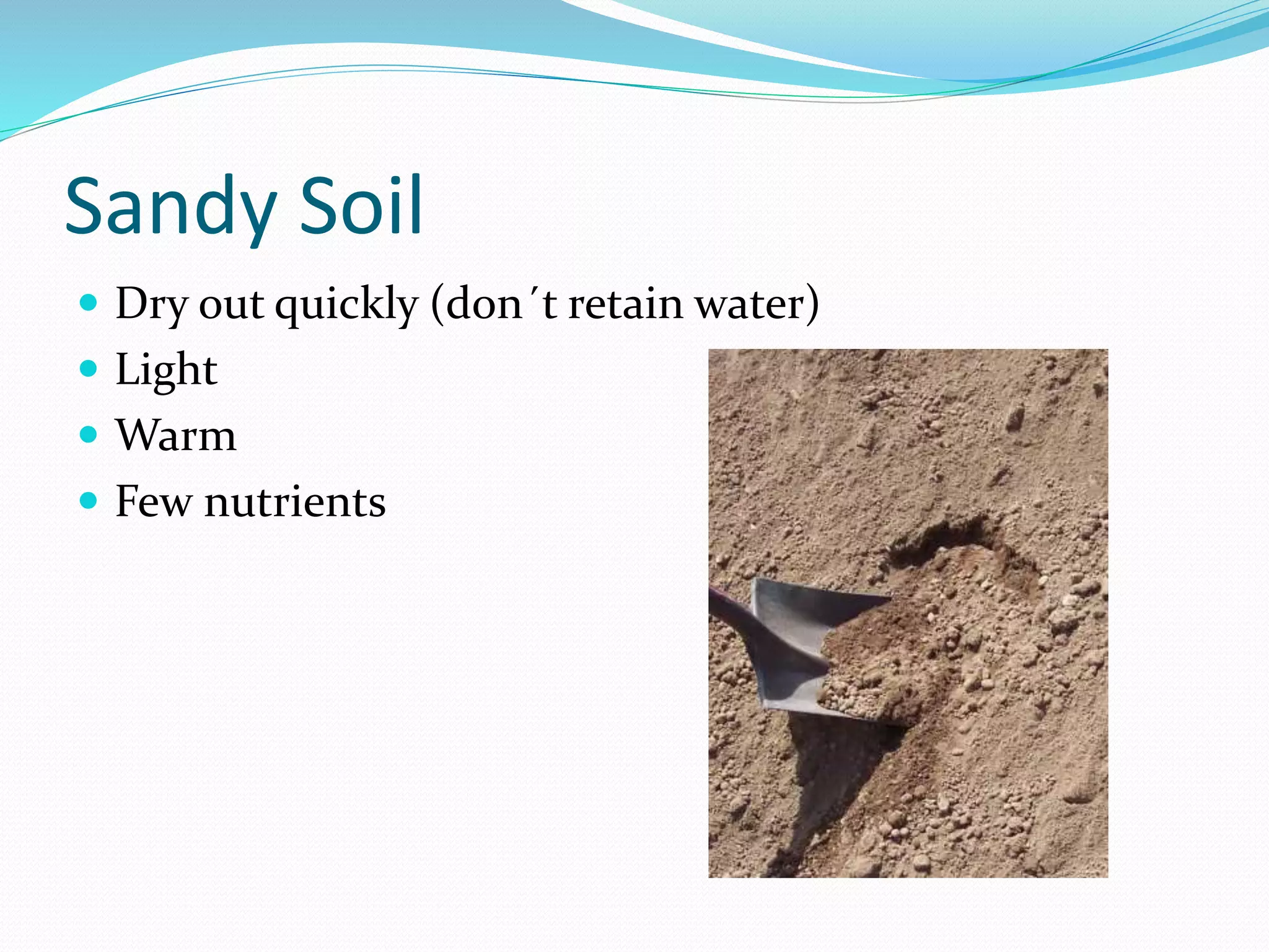 Sandy Soil
Dry out quickly (don´t retain water)
Light
Warm
Few nutrients