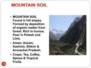 12
 MOUNTAIN SOIL
Found in hill slopes.
Formed by deposition
of organic matter from
forest. Rich in humus.
Poor in Potash and
Lime.
 Areas: Assam,
Kashmir, Sikkim &
Arunachal Pradesh.
 Crops: Tea, Coffee,
Spices & Tropical
Fruits.
 