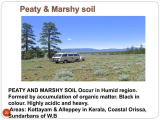 20
PEATY AND MARSHY SOIL Occur in Humid region.
Formed by accumulation of organic matter. Black in
colour. Highly acidic and heavy.
Areas: Kottayam & Alleppey in Kerala, Coastal Orissa,
Sundarbans of W.B
 