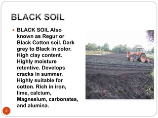 6
 BLACK SOIL Also
known as Regur or
Black Cotton soil. Dark
grey to Black in color.
High clay content.
Highly moisture
retentive. Develops
cracks in summer.
Highly suitable for
cotton. Rich in iron,
lime, calcium,
Magnesium, carbonates,
and alumina.
 