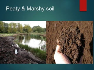 Types of soil | PPT