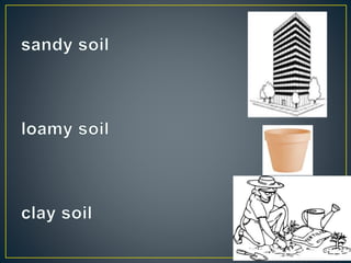 Types of soil-PPT