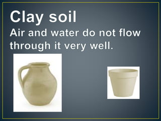 Types of soil-PPT