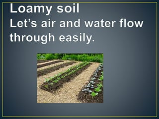 Types of soil-PPT
