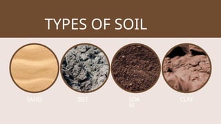 Identify Soil Types Understanding Soil Types: Characteristics, Water Retention, and Uses ...