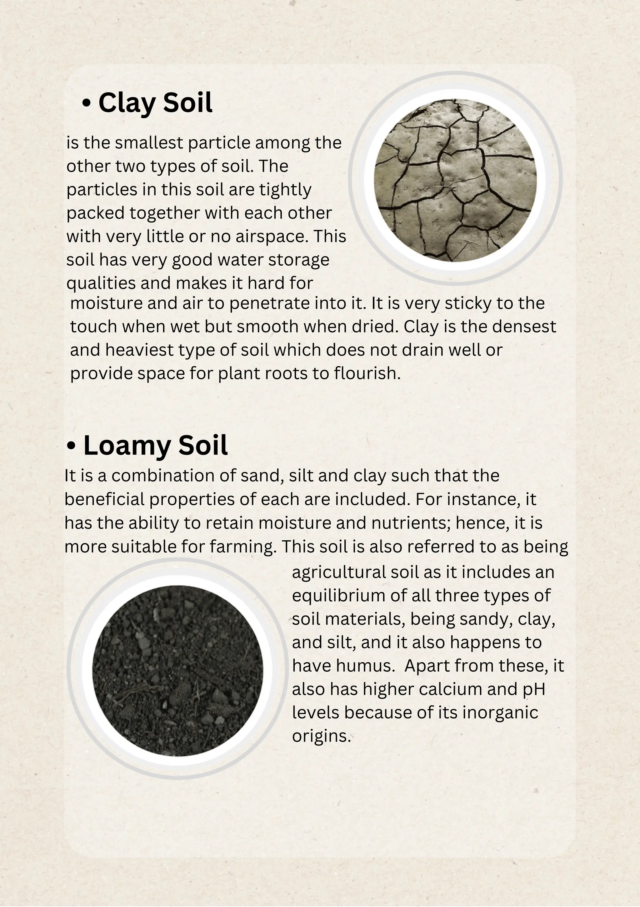 • Clay Soil
is the smallest particle among the
other two types of soil. The
particles in this soil are tightly
packed together with each other
with very little or no airspace. This
soil has very good water storage
qualities and makes it hard for
moisture and air to penetrate into it. It is very sticky to the
touch when wet but smooth when dried. Clay is the densest
and heaviest type of soil which does not drain well or
provide space for plant roots to flourish.
• Loamy Soil
It is a combination of sand, silt and clay such that the
beneficial properties of each are included. For instance, it
has the ability to retain moisture and nutrients; hence, it is
more suitable for farming. This soil is also referred to as being
agricultural soil as it includes an
equilibrium of all three types of
soil materials, being sandy, clay,
and silt, and it also happens to
have humus. Apart from these, it
also has higher calcium and pH
levels because of its inorganic
origins.
 