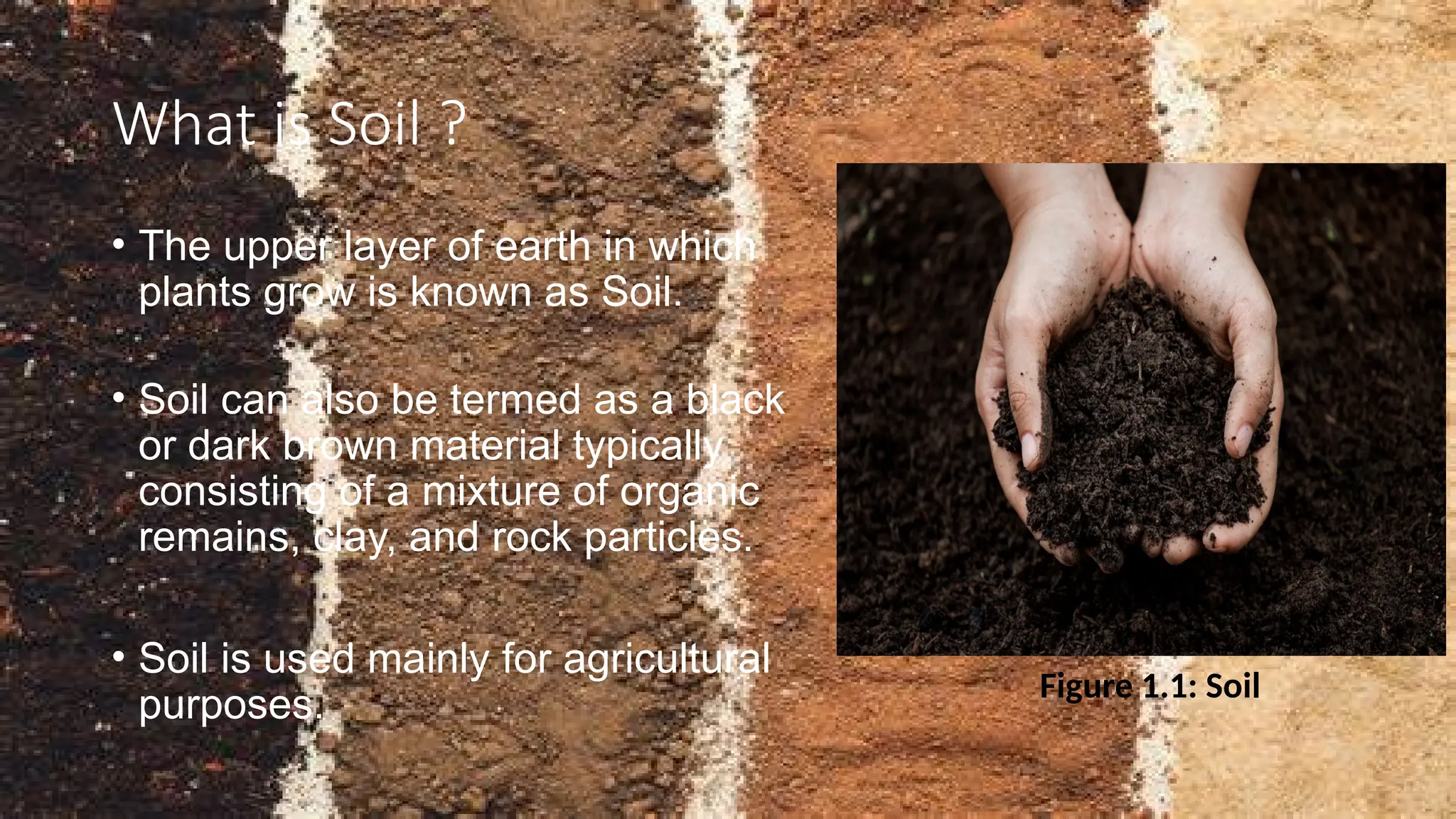Types of Soil in India : Features and description | PPTX
