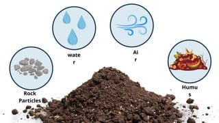 TYPES OF SOIL PRESENTATION GRADE 4 SCIENCE | PPTX