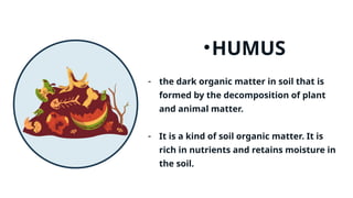 TYPES OF SOIL PRESENTATION GRADE 4 SCIENCE | PPTX