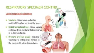 Types of Specimen collection.pdf