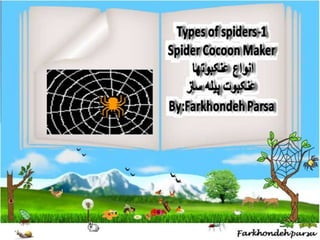 Types of  spiders 1,2,3