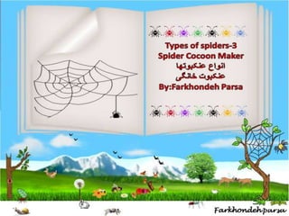Types of  spiders ,4,5
