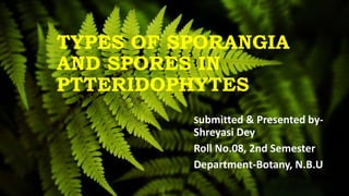 TYPES OF SPORANGIA
AND SPORES IN
PTTERIDOPHYTES
Submitted & Presented by-
Shreyasi Dey
Roll No.08, 2nd Semester
Department-Botany, N.B.U
 