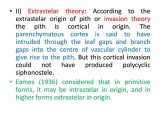 • II) Extrastelar theory: According to the
extrastelar origin of pith or invasion theory
the pith is cortical in origin. The
parenchymatous cortex is said to have
intruded through the leaf gaps and branch
gaps into the centre of vascular cylinder to
give rise to the pith. But this cortical invasion
could not have produced polycyclic
siphonostele.
• Eames (1936) considered that in primitive
forms, it may be intrastelar in origin, and in
higher forms extrastelar in origin.
 