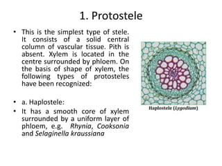 1. Protostele
• This is the simplest type of stele.
It consists of a solid central
column of vascular tissue. Pith is
absent. Xylem is located in the
centre surrounded by phloem. On
the basis of shape of xylem, the
following types of protosteles
have been recognized:
• a. Haplostele:
• It has a smooth core of xylem
surrounded by a uniform layer of
phloem, e.g. Rhynia, Cooksonia
and Selaginella kraussiana
 