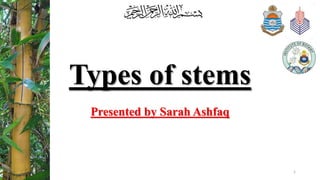 Types of stems
Presented by Sarah Ashfaq
1
 