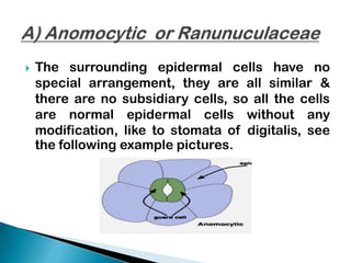 Types of stomata | PPTX
