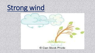 Strong wind
 