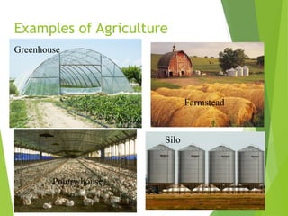 Farmstead Structure types of structures and loads used in the farm | PPT