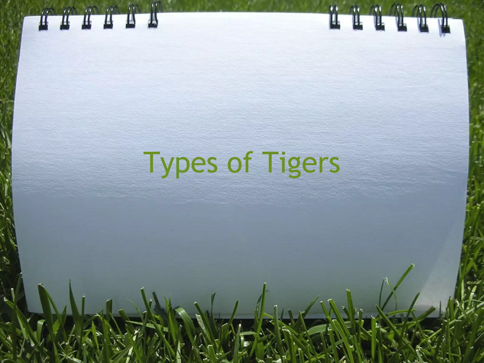 Types of Tigers