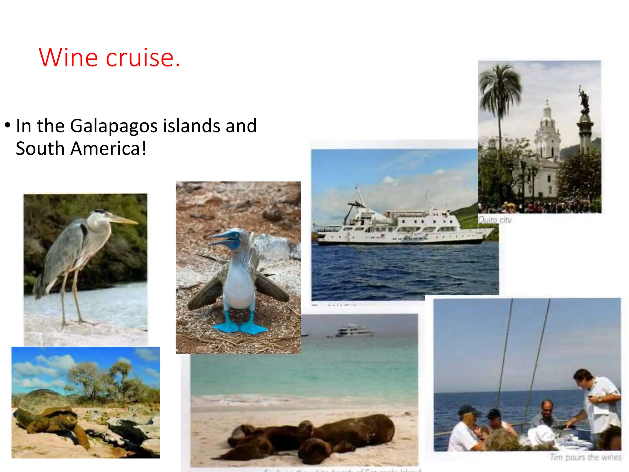 Wine cruise.
• In the Galapagos islands and
South America!
 