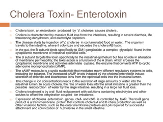 Cholera Toxin- Enterotoxin
 Cholera toxin, an enterotoxin produced by V. cholerae, causes cholera .
 Cholera is characterized by massive ﬂuid loss from the intestines, resulting in severe diarrhea, life
threatening dehydration, and electrolyte depletion .
 The disease starts by ingestion of V. cholerae in contaminated food or water. The organism
travels to the intestine, where it colonizes and secretes the cholera AB toxin.
 In the gut, the B subunit binds speciﬁcally to GM1 ganglioside, a complex glycolipid found in the
cytoplasmic membrane of intestinal epithelial cells.
 The B subunit targets the toxin speciﬁcally to the intestinal epithelium but has no role in alteration
of membrane permeability; the toxic action is a function of the A chain, which crosses the
cytoplasmic membrane and activates adenylate cyclase, the enzyme that converts ATP to cyclic
adenosine monophosphate (cAMP).
 The cAMP molecule is a cyclic nucleotide that mediates many different regulatory systems in cells,
including ion balance. The increased cAMP levels induced by the cholera enterotoxin induce
secretion of chloride and bicarbonate ions from the epithelial cells into the intestinal lumen.
 This change in ion concentrations leads to the secretion of large amounts of water into the
intestinal lumen. In acute cholera, the rate of water loss into the small intestine is greater than the
possible reabsorption of water by the large intestine, resulting in a large net ﬂuid loss.
 Cholera treatment is by oral ﬂuid replacement with solutions containing electrolytes and other
solutes to offset the dehydration coupled ion imbalance.
 Expression of cholera enterotoxin genes ctxA and ctxB is controlled by toxR. The toxR gene
product is a transmembrane protein that controls cholera A and B chain production as well as
other virulence factors, such as the outer membrane proteins and pili required for successful
attachment and colonization of V.cholerae in the small intestine.
 