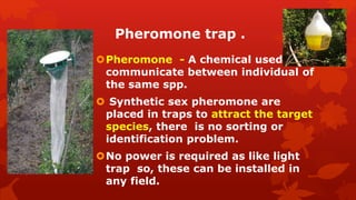 Pheromone trap .
Pheromone - A chemical used to
communicate between individual of
the same spp.
 Synthetic sex pheromone are
placed in traps to attract the target
species, there is no sorting or
identification problem.
No power is required as like light
trap so, these can be installed in
any field.
 