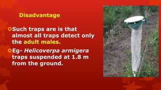 Disadvantage
Such traps are is that
almost all traps detect only
the adult males.
Eg- Helicoverpa armigera
traps suspended at 1.8 m
from the ground.
 