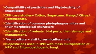 Compatibility of pesticides and Phytotoxicity of
insecticides
IPM case studies– Cotton, Sugarcane, Mango/ Citrus/
Pomegranate.
Identification of common phytophagous mites and
their morphological characters
Identification of rodents, bird pests, their damage and
management.
 Vermiculture – visit to vermiculture unit,
Biopesticides used in IPM with mass multiplication of
NPV and Entomopathogenic fungi.
 