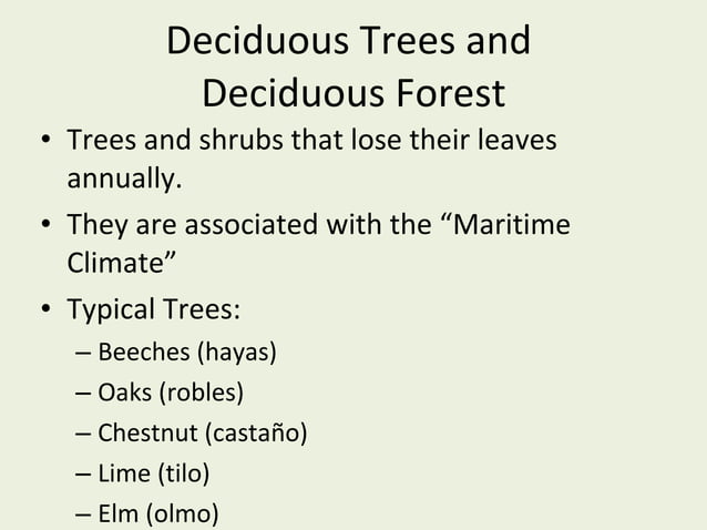 Types of trees in Spain | PPT | Landscaping | Home & Garden