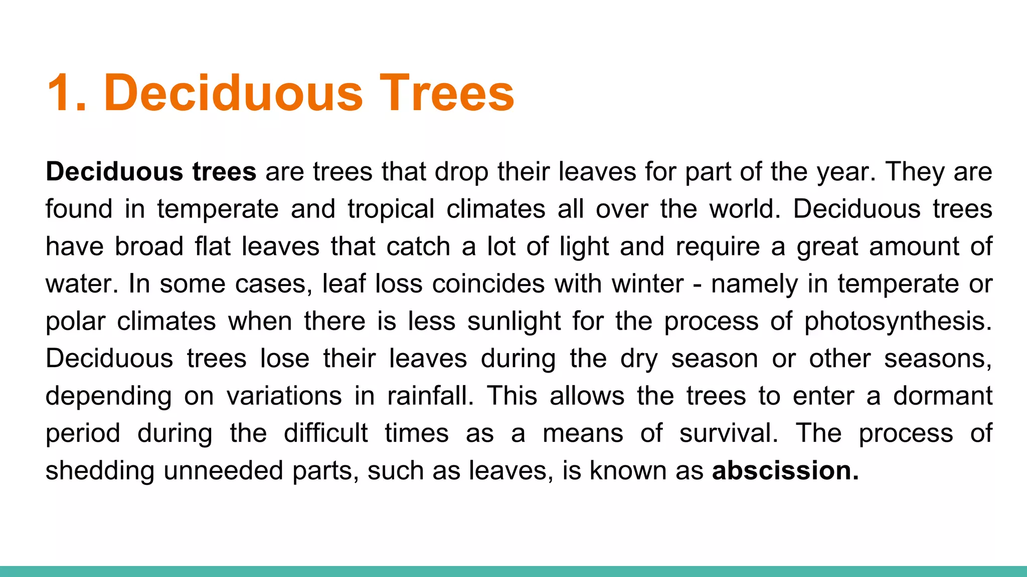 1. Deciduous Trees
Deciduous trees are trees that drop their leaves for part of the year. They are
found in temperate and tropical climates all over the world. Deciduous trees
have broad flat leaves that catch a lot of light and require a great amount of
water. In some cases, leaf loss coincides with winter - namely in temperate or
polar climates when there is less sunlight for the process of photosynthesis.
Deciduous trees lose their leaves during the dry season or other seasons,
depending on variations in rainfall. This allows the trees to enter a dormant
period during the difficult times as a means of survival. The process of
shedding unneeded parts, such as leaves, is known as abscission.
 