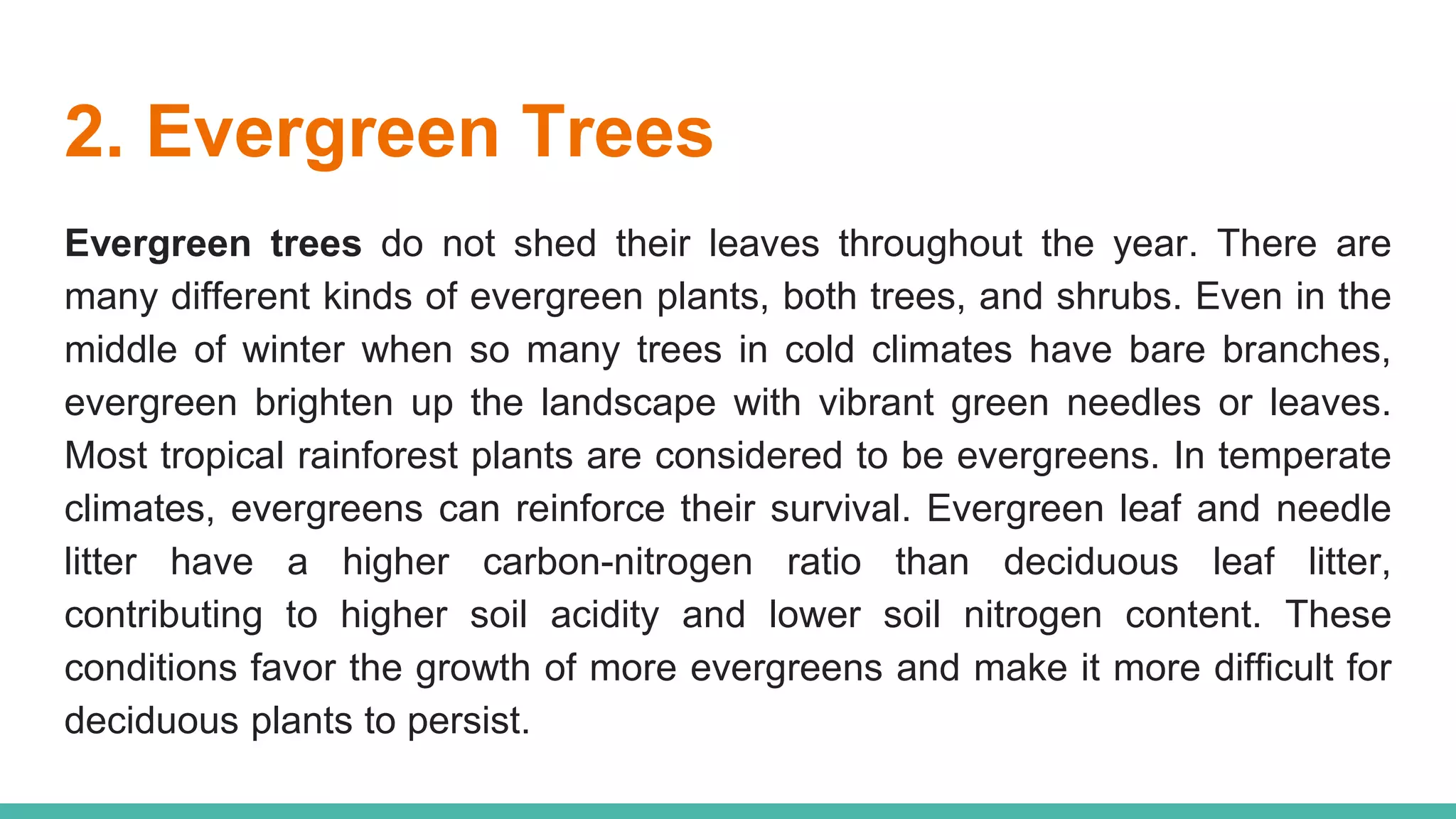2. Evergreen Trees
Evergreen trees do not shed their leaves throughout the year. There are
many different kinds of evergreen plants, both trees, and shrubs. Even in the
middle of winter when so many trees in cold climates have bare branches,
evergreen brighten up the landscape with vibrant green needles or leaves.
Most tropical rainforest plants are considered to be evergreens. In temperate
climates, evergreens can reinforce their survival. Evergreen leaf and needle
litter have a higher carbon-nitrogen ratio than deciduous leaf litter,
contributing to higher soil acidity and lower soil nitrogen content. These
conditions favor the growth of more evergreens and make it more difficult for
deciduous plants to persist.
 