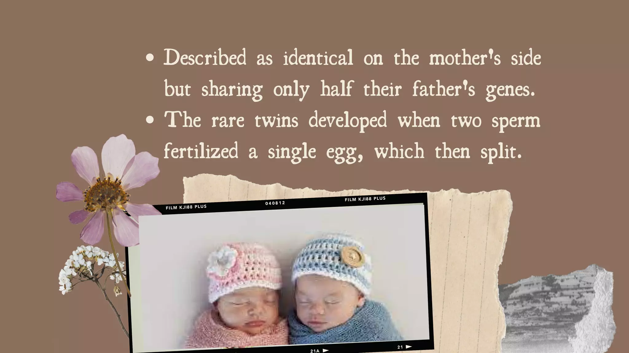 Described as identical on the mother's side
but sharing only half their father's genes.
The rare twins developed when two sperm
fertilized a single egg, which then split.
 