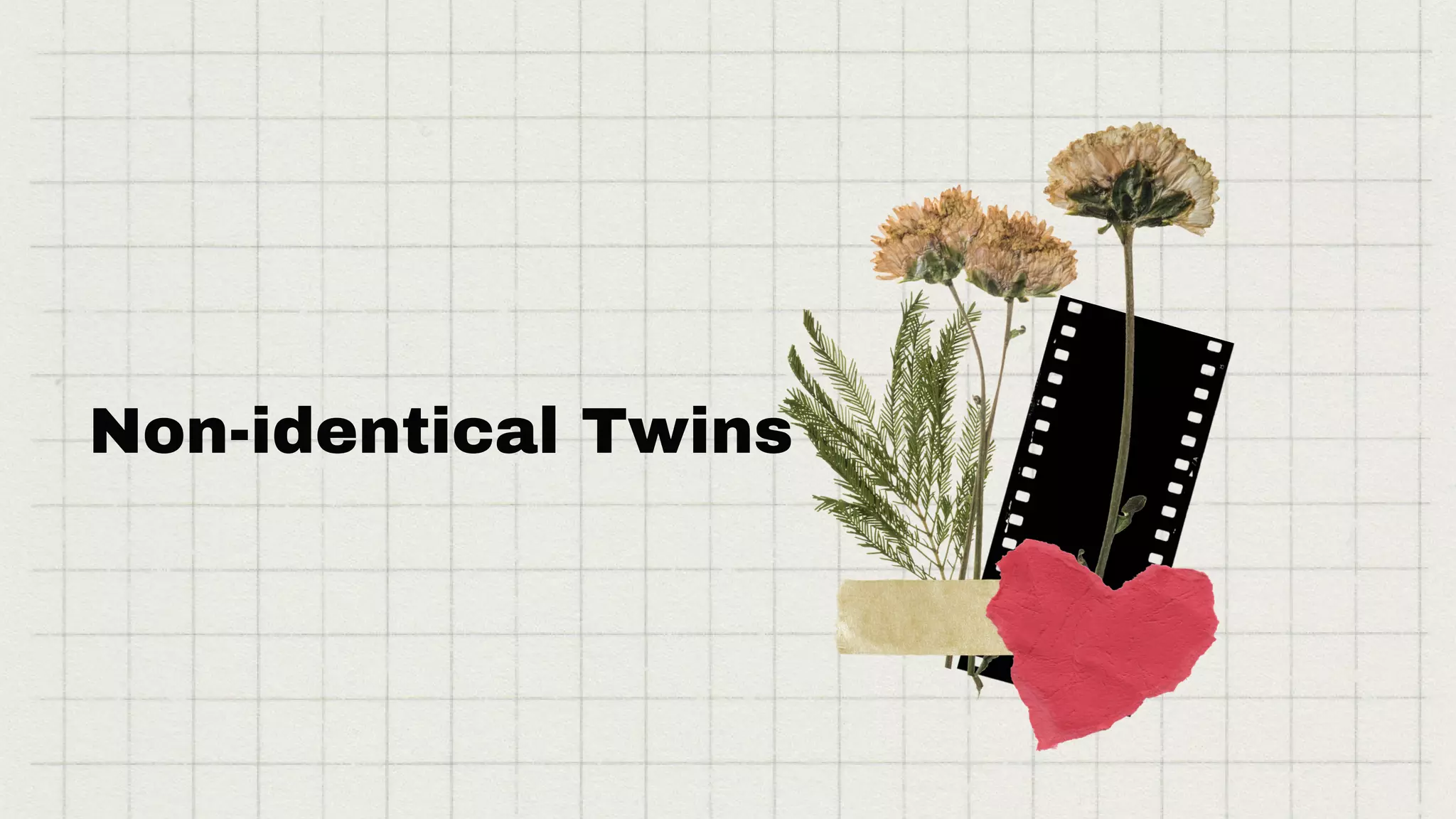 Non-identical Twins
 