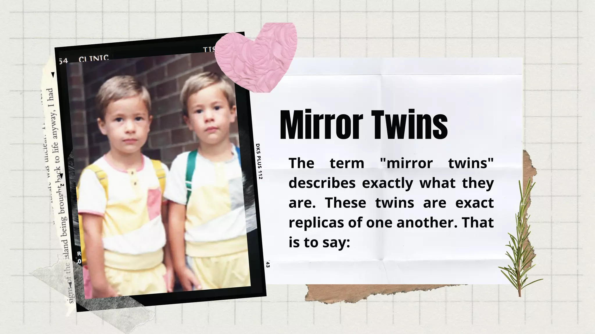 Mirror Twins
The term "mirror twins"
describes exactly what they
are. These twins are exact
replicas of one another. That
is to say:
 