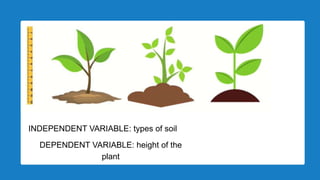 Variables Plant Example types of variables.pptx