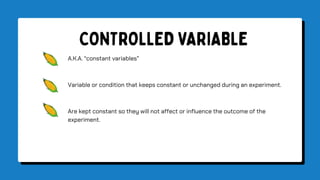 types of variables.pptx