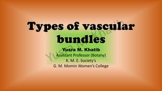 Types of vascular bundles | PDF