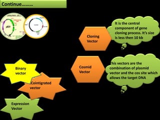 Cosmid
Vector
Cloning
Vector
Expression
Vector
.Cointigrated
vector
This vectors are the
combination of plasmid
vector and the cos site which
allows the target DNA
It is the central
component of gene
cloning process. It’s size
is less then 10 kb
Continue………
Binary
vector
 
