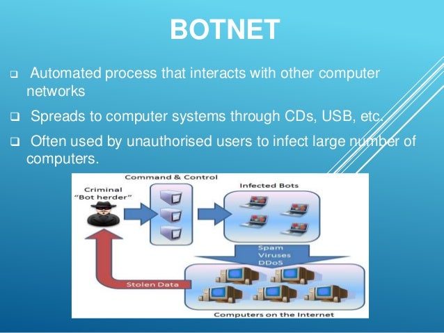 types of computer virus