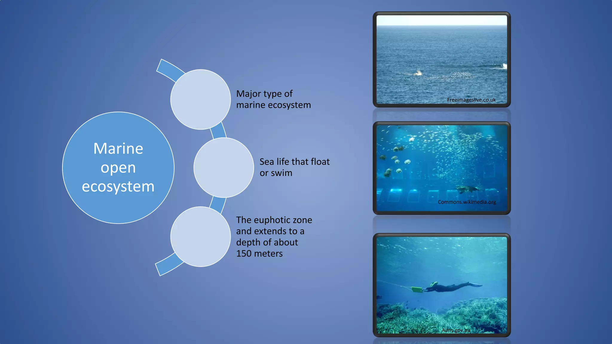 Types of water bodies marine water | PDF