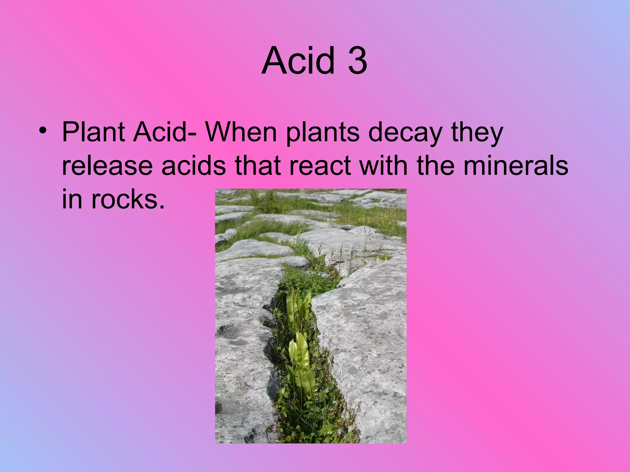 Acid 3
• Plant Acid- When plants decay they
release acids that react with the minerals
in rocks.