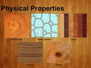 Types of wood.pdf