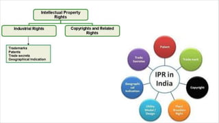 Types or Forms of Intellectual Property Rights (IPR ) | PDF