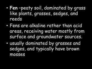 Fen Def Types of wetlands and wetland formation | PPTX