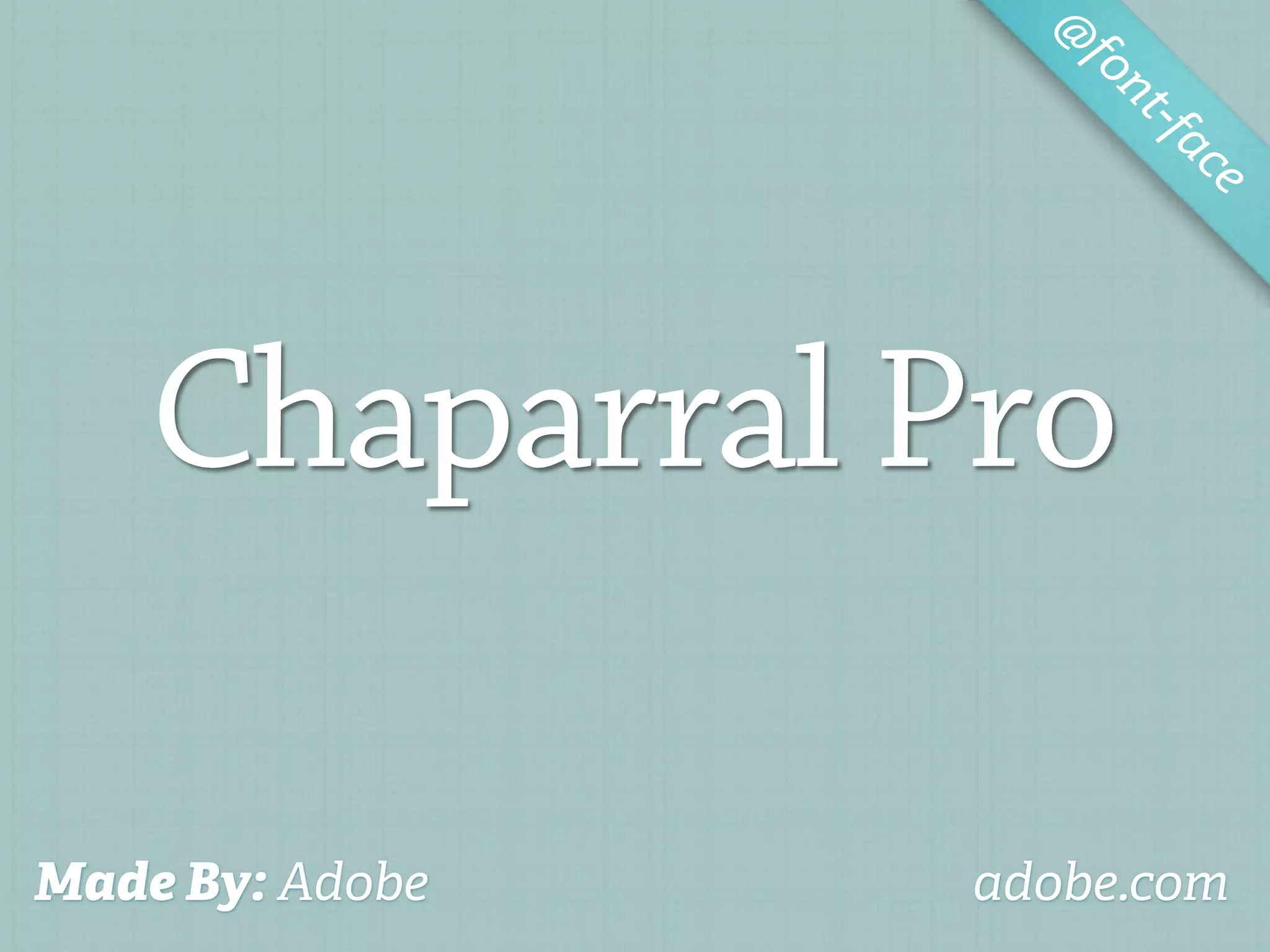 @
                    fo
                       nt-f
                           ac
                             e




    Chaparral Pro

Made By: Adobe   adobe.com
 