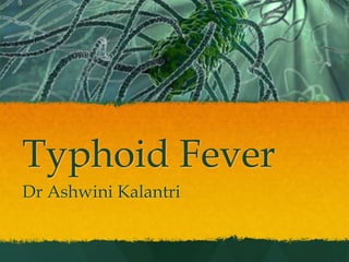 Typhoid Fever
Dr Ashwini Kalantri
 